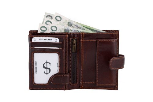 Portfel męski Skórzany Wild Horse Brązowy