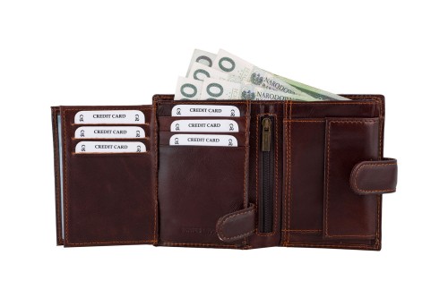 Portfel męski Skórzany Wild Horse Brązowy