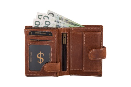 Portfel męski Skórzany Wild Horse Brązowy