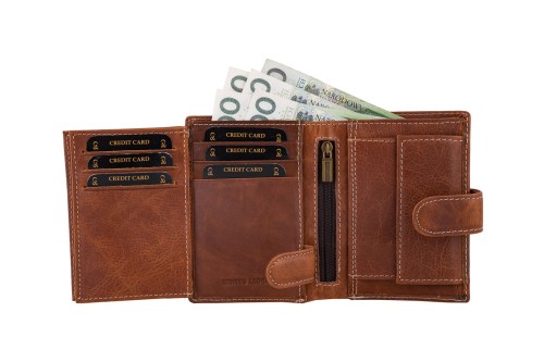 Portfel męski Skórzany Wild Horse Brązowy