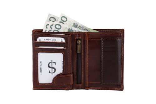 Portfel męski Skórzany Wild Horse Brązowy