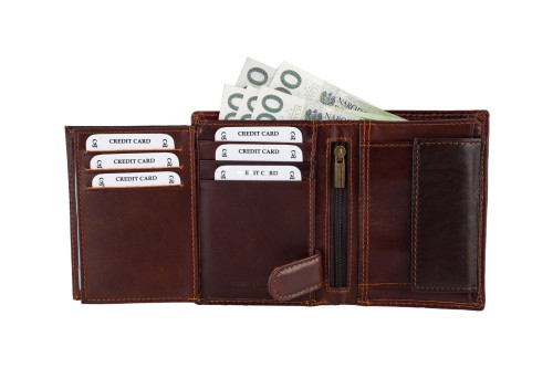 Portfel męski Skórzany Wild Horse Brązowy