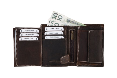 Portfel męski Skórzany Wild Horse Brązowy