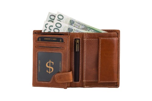 Portfel męski Skórzany Wild Horse Brązowy