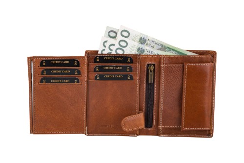 Portfel męski Skórzany Wild Horse Brązowy