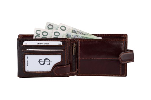 Portfel męski Skórzany Wild Horse Brązowy