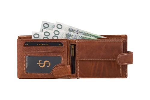 Portfel męski Skórzany Wild Horse Brązowy