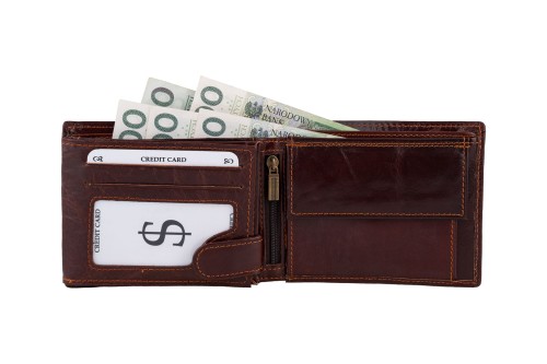 Portfel męski Skórzany Wild Horse Brązowy