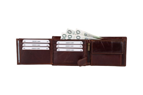 Portfel męski Skórzany Wild Horse Brązowy