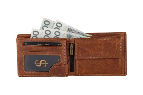Portfel męski Skórzany Wild Horse Brązowy