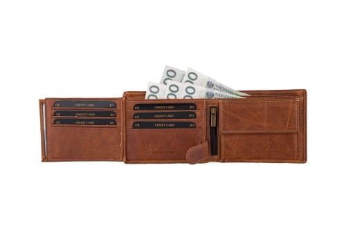 Portfel męski Skórzany Wild Horse Brązowy