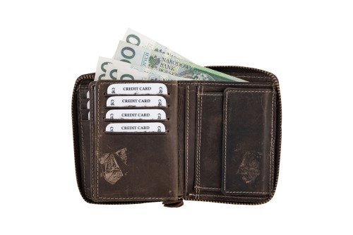 Portfel męski Skórzany Wild Horse Brązowy