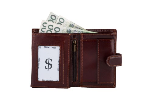 Portfel męski Skórzany Wild Horse Brązowy