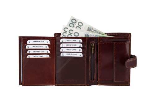 Portfel męski Skórzany Wild Horse Brązowy