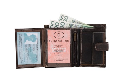 Portfel męski Skórzany Wild Horse Brązowy