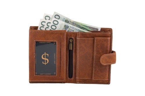 Portfel męski Skórzany Wild Horse Brązowy