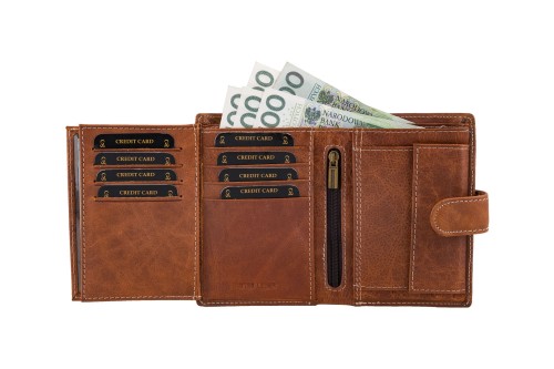 Portfel męski Skórzany Wild Horse Brązowy