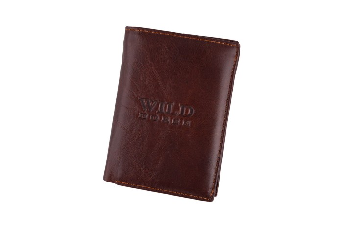 Portfel męski Skórzany Wild Horse Brązowy