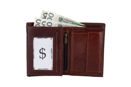 Portfel męski Skórzany Wild Horse Brązowy