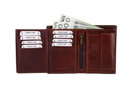 Portfel męski Skórzany Wild Horse Brązowy