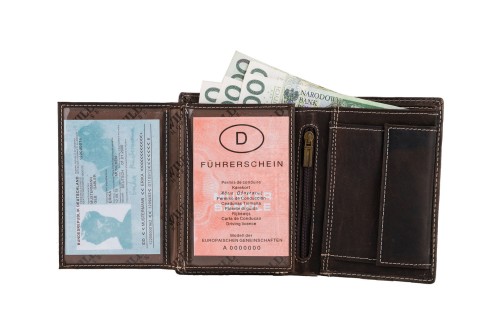 Portfel męski Skórzany Wild Horse Brązowy