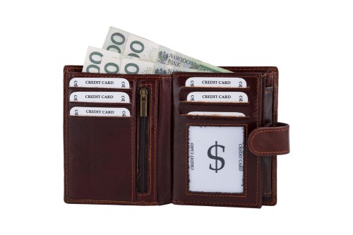 Portfel męski Skórzany Wild Horse Brązowy