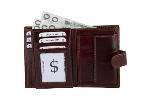 Portfel męski Skórzany Wild Horse Brązowy