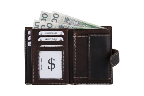 Portfel męski Skórzany Wild Horse Brązowy