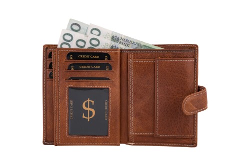 Portfel męski Skórzany Wild Horse Brązowy