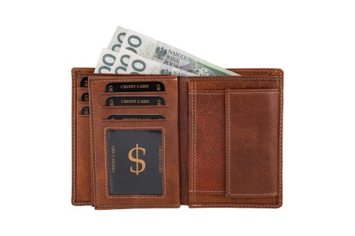 Portfel męski Skórzany Wild Horse Brązowy