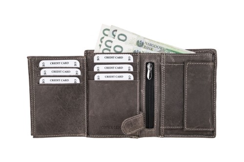 Portfel męski Skórzany Wild Horse Szary