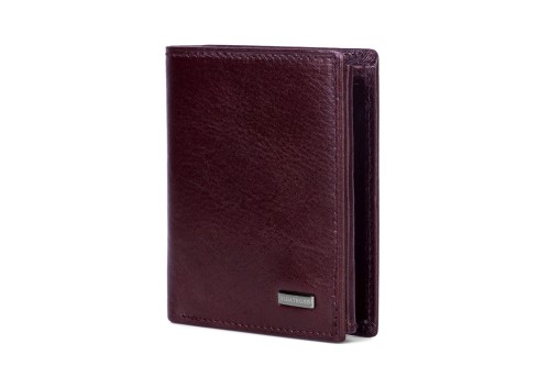 Portfel męski Skórzany Albatross Brązowy (5).jpg