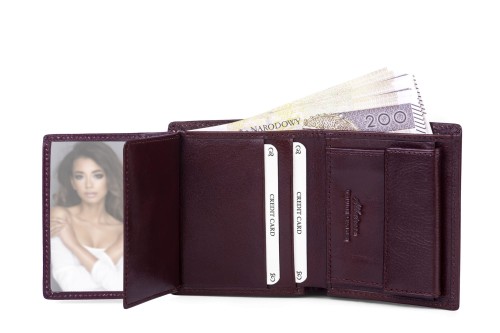 Portfel męski Skórzany Albatross Brązowy (9).jpg