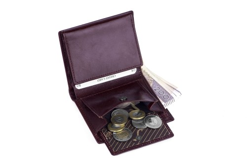 Portfel męski Skórzany Albatross Brązowy (11).jpg