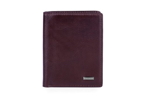 Portfel męski Skórzany Albatross Brązowy (2).jpg