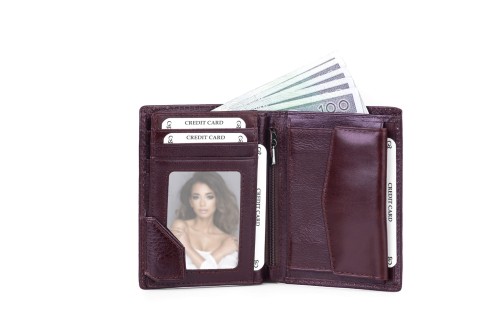 Portfel męski Skórzany Albatross Brązowy (9).jpg