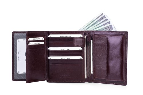 Portfel męski Skórzany Albatross Brązowy (8).jpg