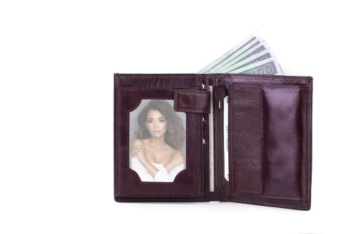 Portfel męski Skórzany Albatross Brązowy (10).jpg