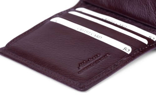 Portfel męski Skórzany Albatross Brązowy (8).jpg