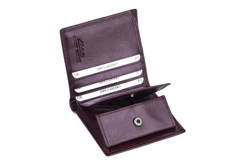 Portfel męski Skórzany Albatross Brązowy (10).jpg