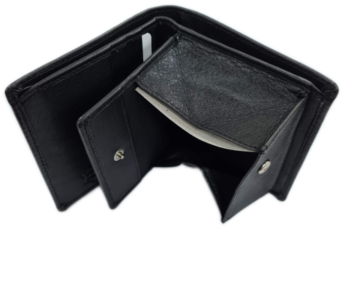 transparent (2).png